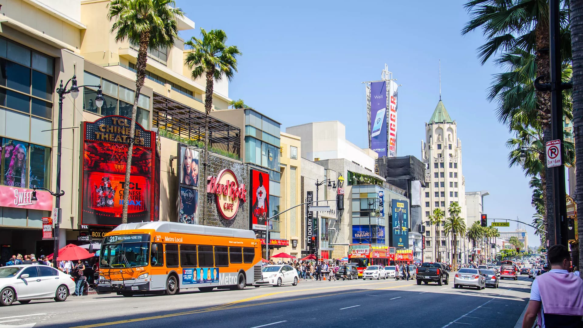 marijuana dispensaries in hollywood