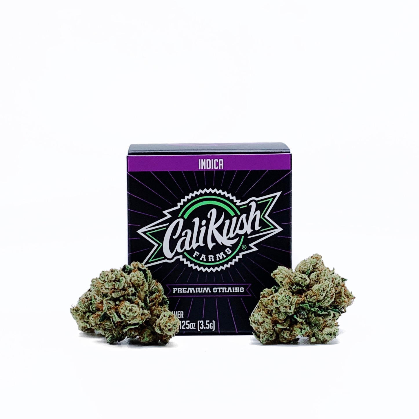 905b9a1d-b095-4045-99d0-f0f8f2e9839b