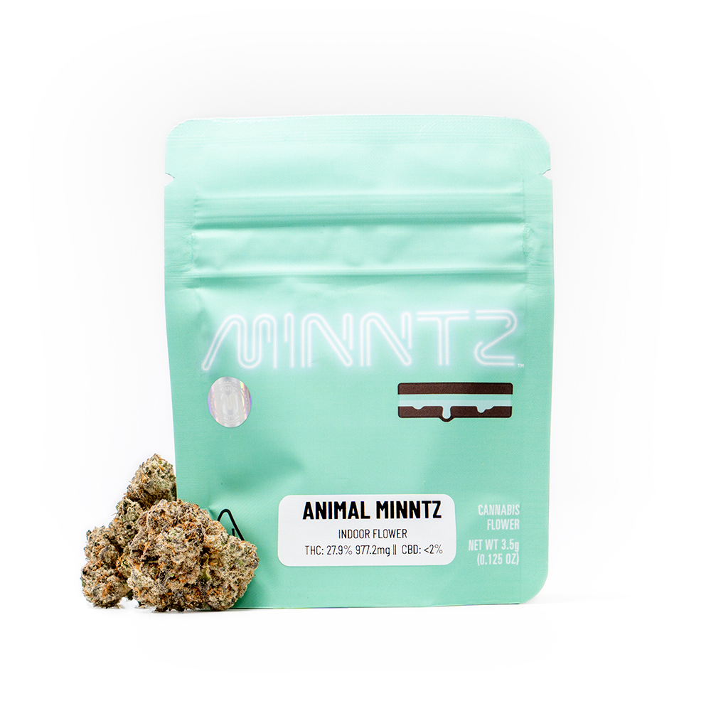 Animal minntz display The Kind Center