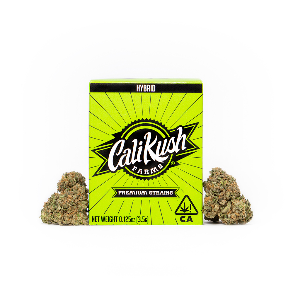 9e60e24e-8a7a-4da8-be20-31f104d836b9