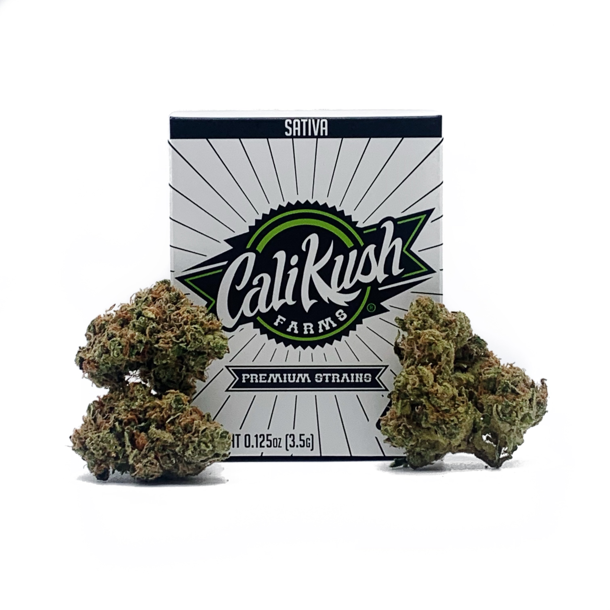 ec73f766-a88a-4a6d-a77f-8fedcb08876d