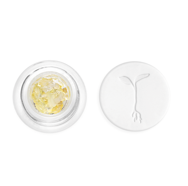 3117cda8-daa4-463a-bff6-fa4d4117df42